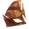 Angel Fish on A Mantle